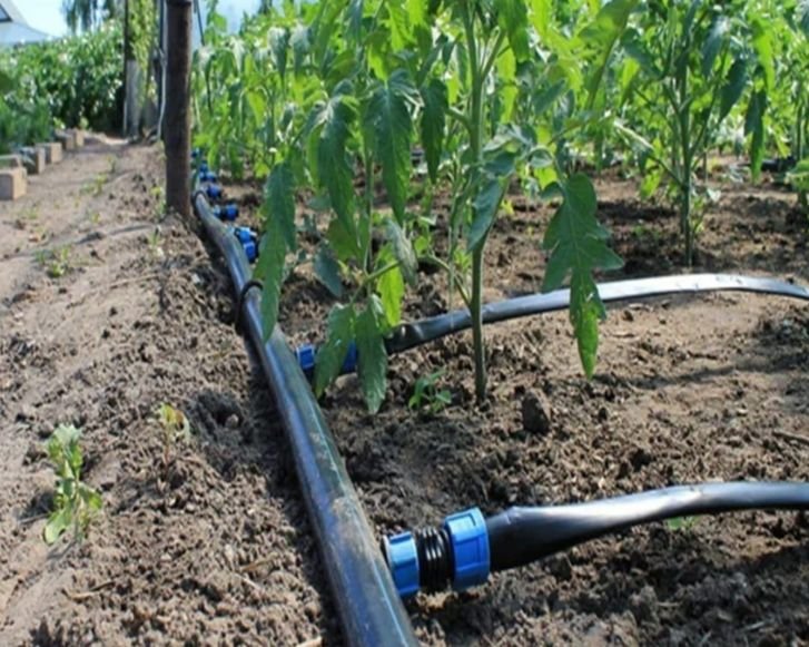 Drip Irrigation